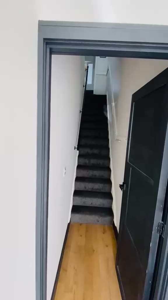 Office Fit-Out, Brynmill, video walk-through 1